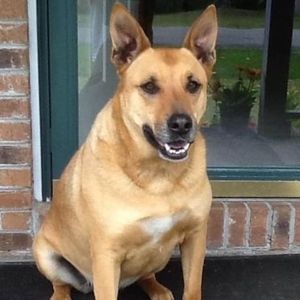 Meet your Posher, Dennis